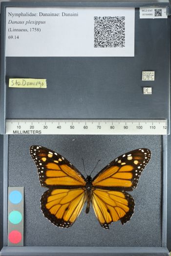 Media type: image;   Entomology 164985